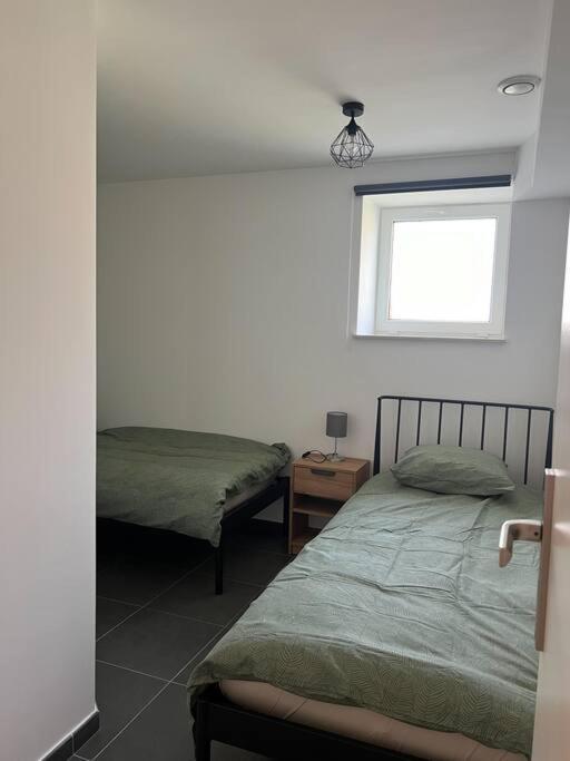 Charmant Logement Brugelette Proche De Pairi Daiza מראה חיצוני תמונה
