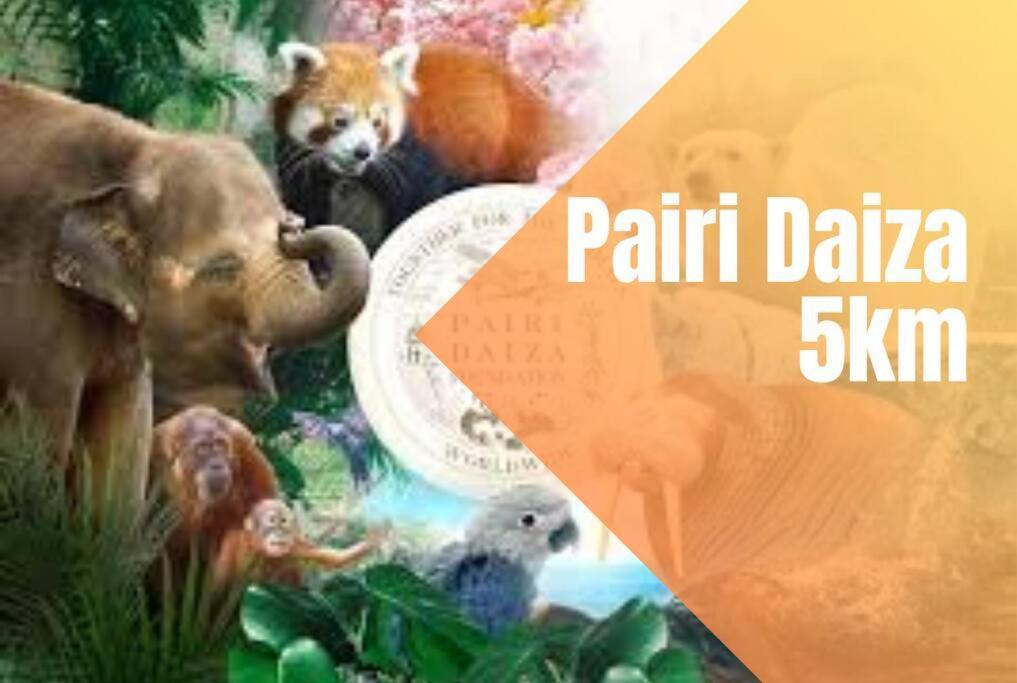 Charmant Logement Brugelette Proche De Pairi Daiza מראה חיצוני תמונה